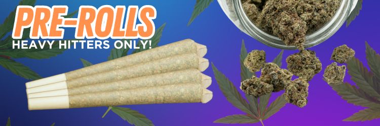 pre-rolls